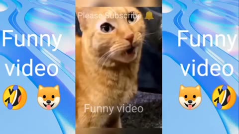 Most Animal Funny Video 😂😂 #viral