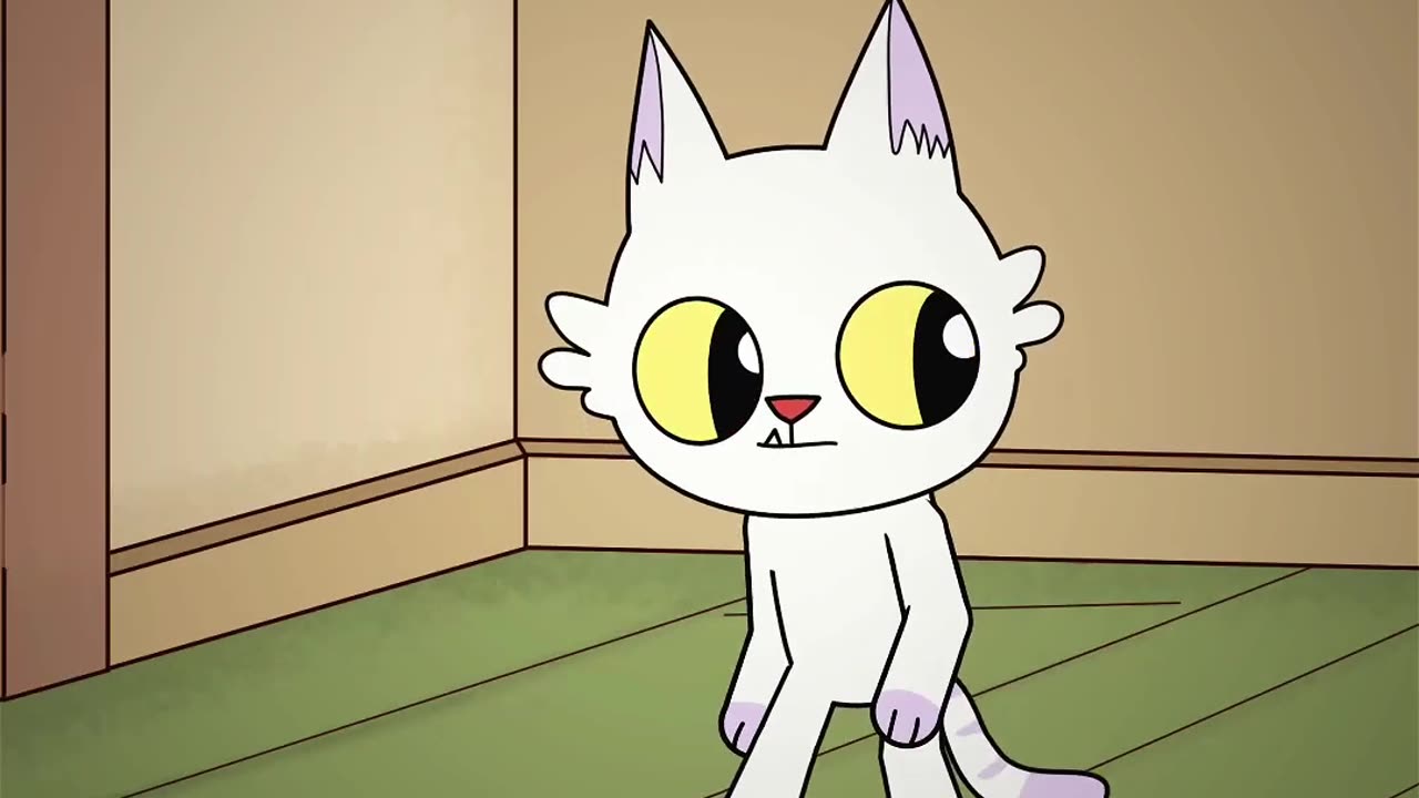 Funny cats