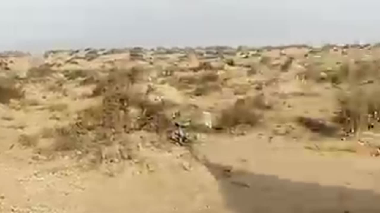 A shepherd's small hut in Rohi Desert