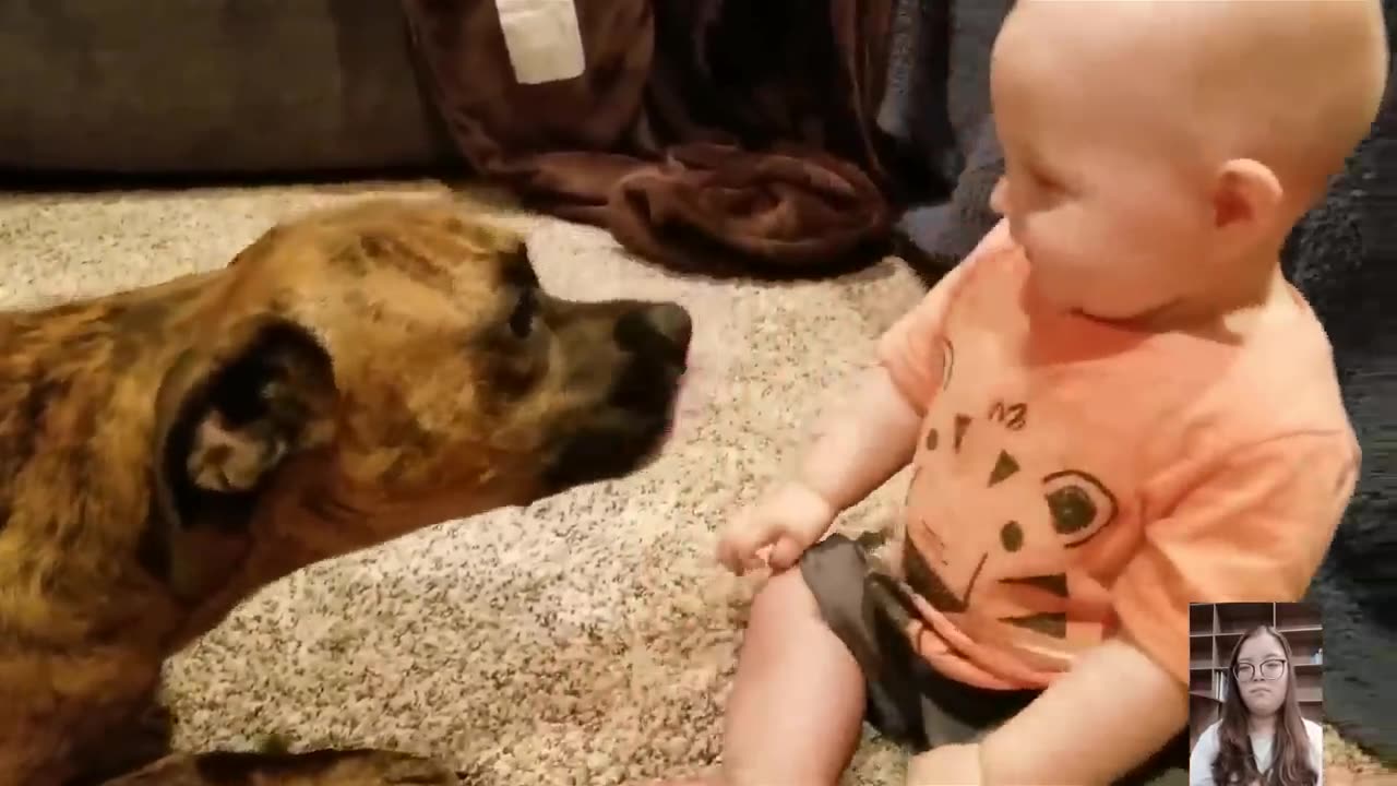 Adorable babies playing with dogs.