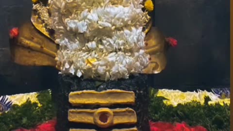 Jai jai shiv shambho shiva mahadev sambho