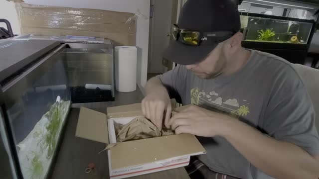 EBAY Fish unboxing