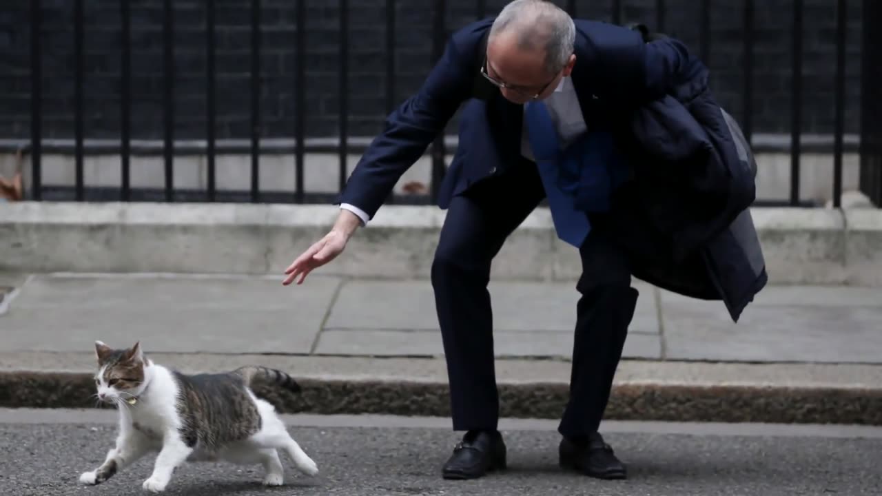 Cop Knocks on British Prime Minister's Door to Let Cat in Out of the Rain