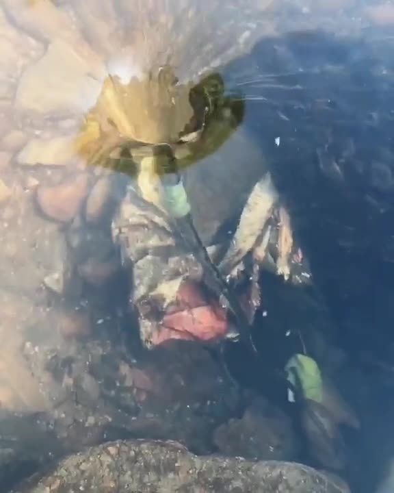 Water vortex - viktor schauberger water free energy