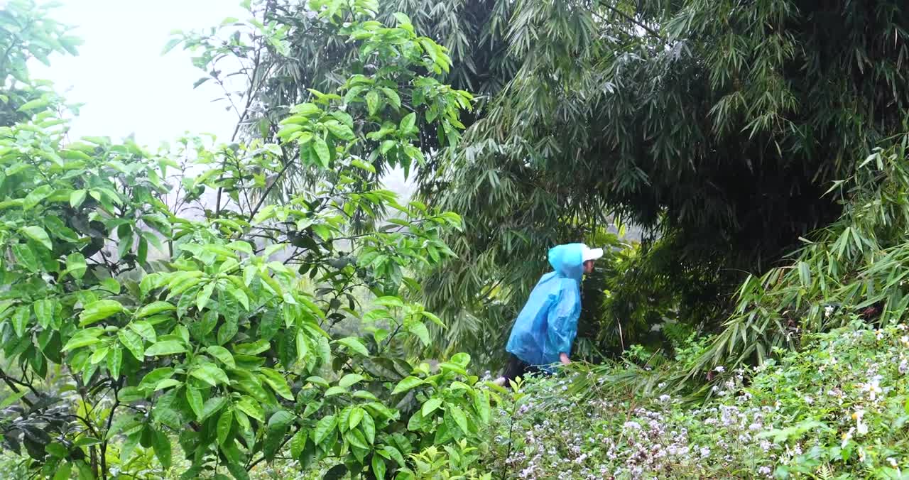 complete great shelter tent in the rain in forest-19