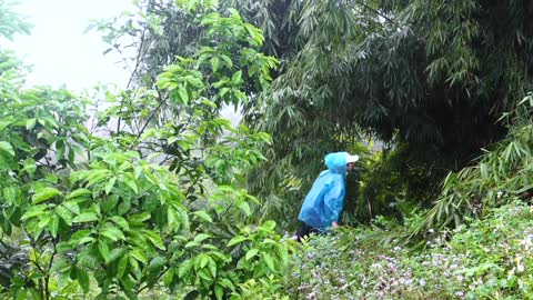 complete great shelter tent in the rain in forest-19