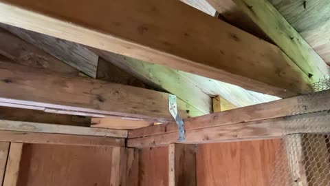 Cabin Roof Hurricane Straps