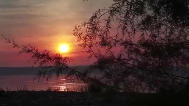 There is a mesmerizing beauty in a sunset