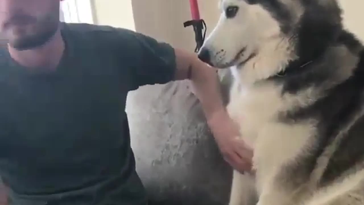 Very Cute Dog😍