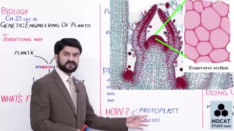 LEC#16 GENETIC ENGINEERING OF PLANTS