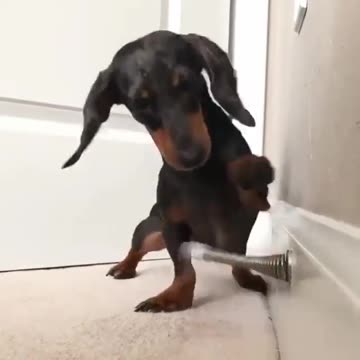 We all have something annoying in our lives to deal with! 😂😂😂