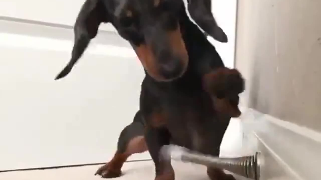 We all have something annoying in our lives to deal with! 😂😂😂