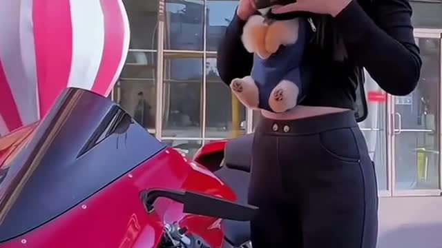 please be careful on that bike with your doggie