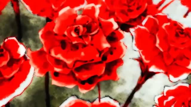 AMV Casshern Beautiful