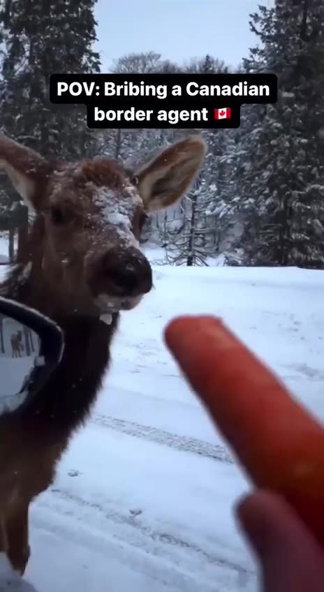 Canada boarder security