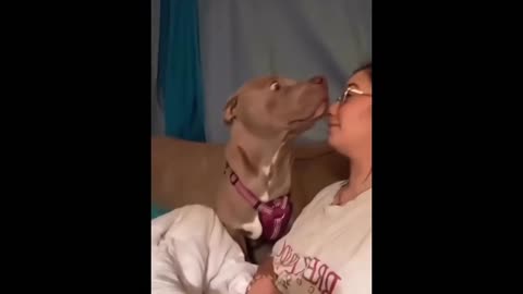 Cute funny animals