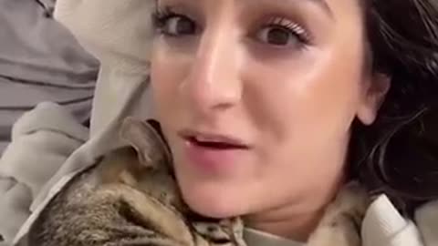 Fannyy cat video