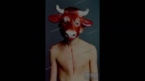 True Crime channel parody