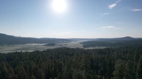 Alpine Cabin Views