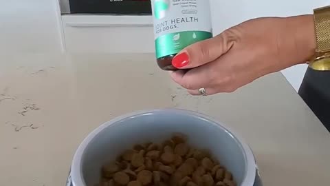 How to look after your dogs joints with flexipaw