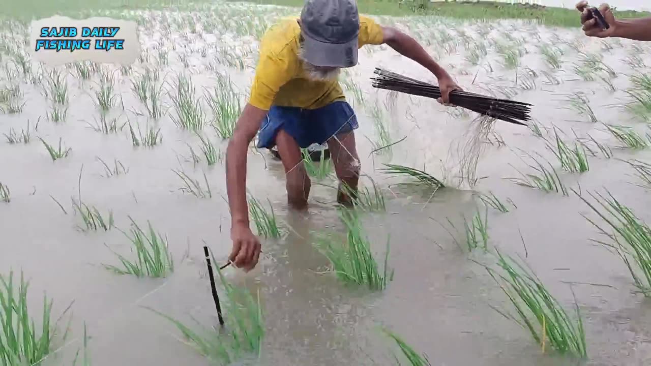 Purse fishing with current nets in the rain