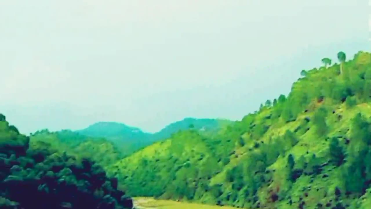 Sangat
