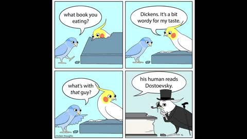 Funny Comics With A Parrot Twist