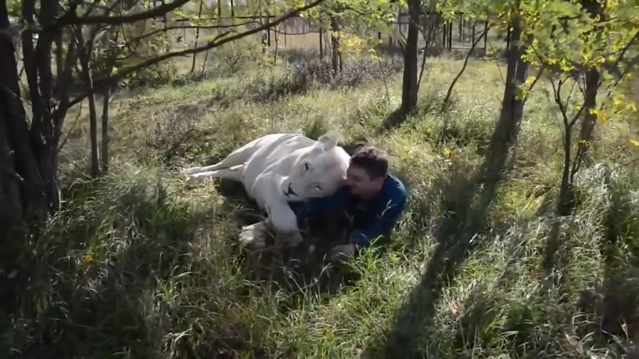 UNBELIEVABLE Animal Whisperers CAUGHT ON VIDEO!