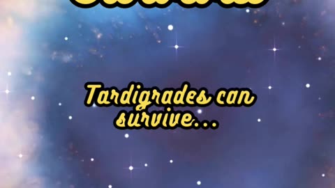 Animal Facts Tardigrade Space Survival #shorts