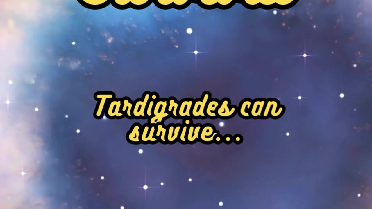 Animal Facts Tardigrade Space Survival #shorts