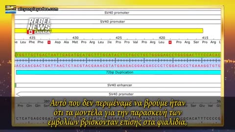 "Υποκινητής του ιού των πιθήκων sv40" στα εμβόλια και κίνδυνος ενσωμάτωσης στο γονιδίωμα.