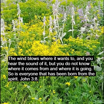 Where Does The Wind Come From?