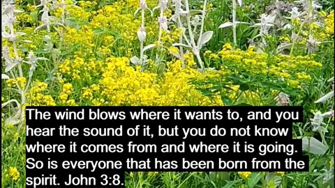 Where Does The Wind Come From?