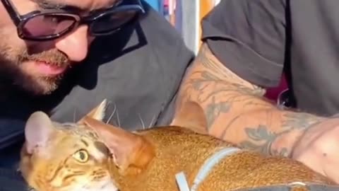 Make new friends on the street