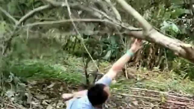 FUNNY TREE CUTING MOMENTS
