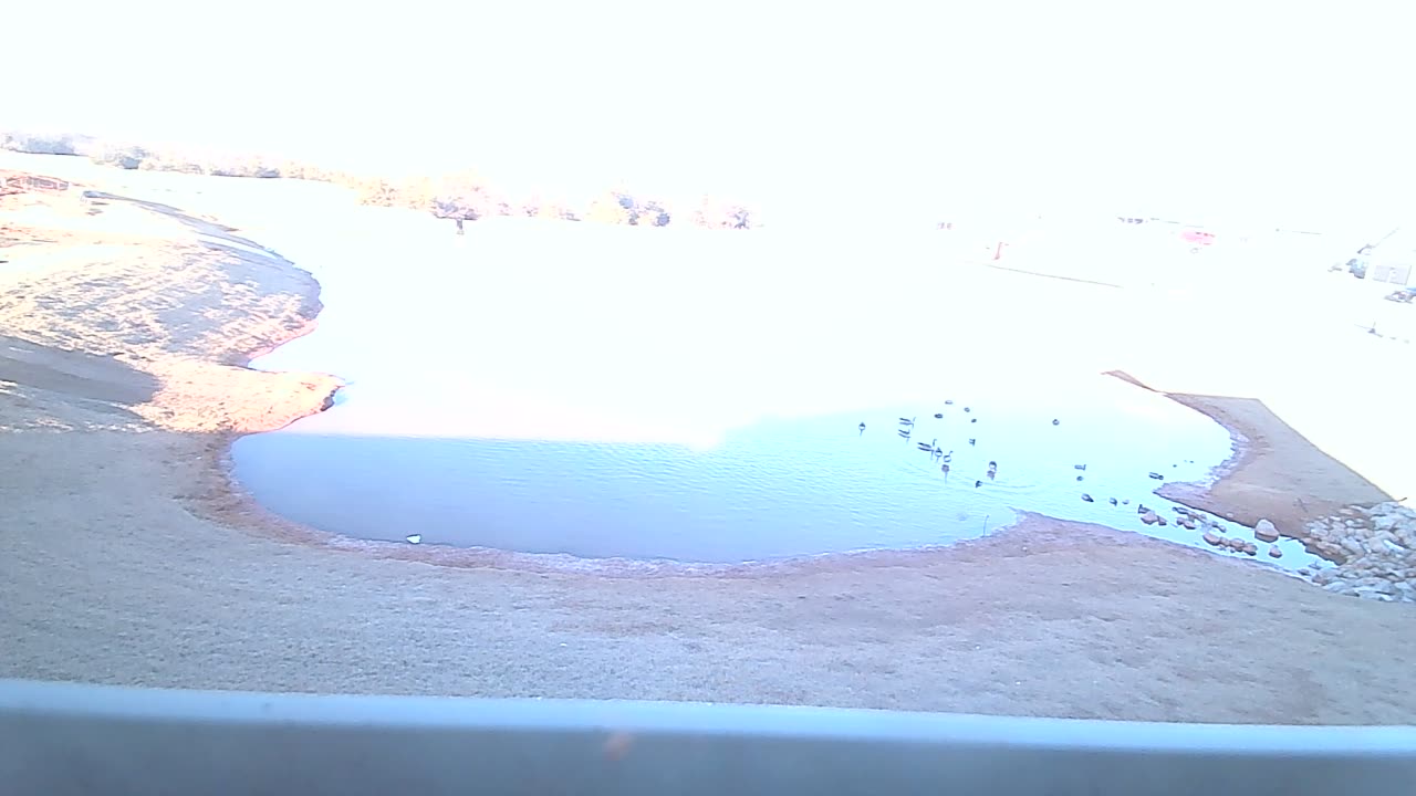 The Pond 12/18