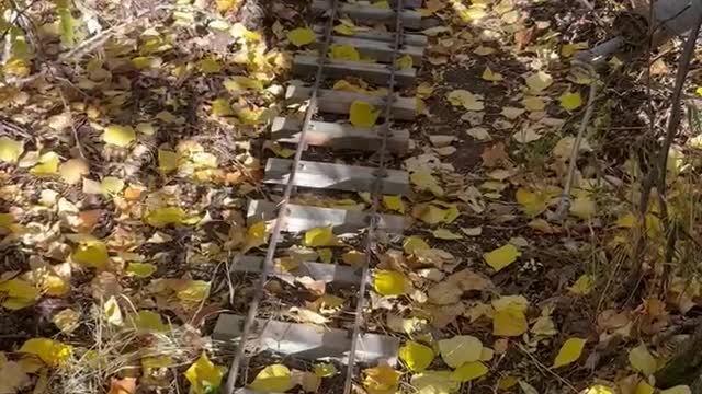 Namaka Ridge Forest Railway - More Progress
