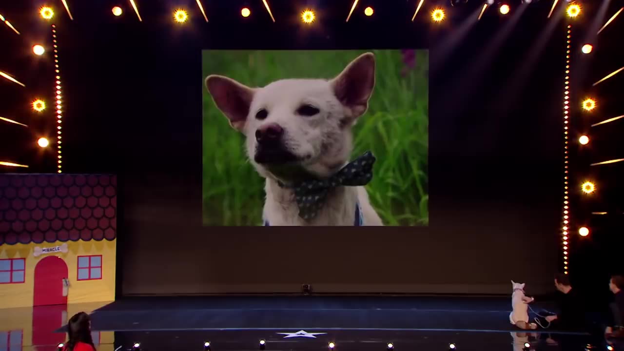 Judges Cry Over Emotional Dog Magic Act on Britain's Got Talent 2020 | Magician's Got Talent