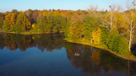 Enchanting Autumn Forests with Beautiful Piano Music