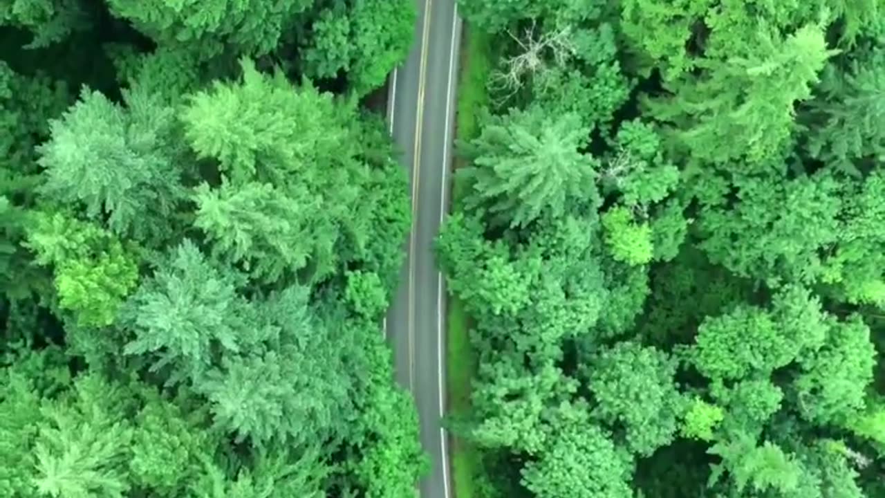 Why is Siberia so important for Russia