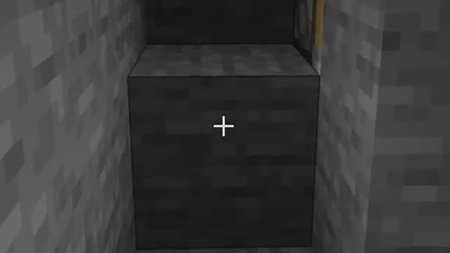 secret door build in Minecraft