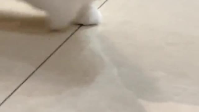 Little cute with rhythm