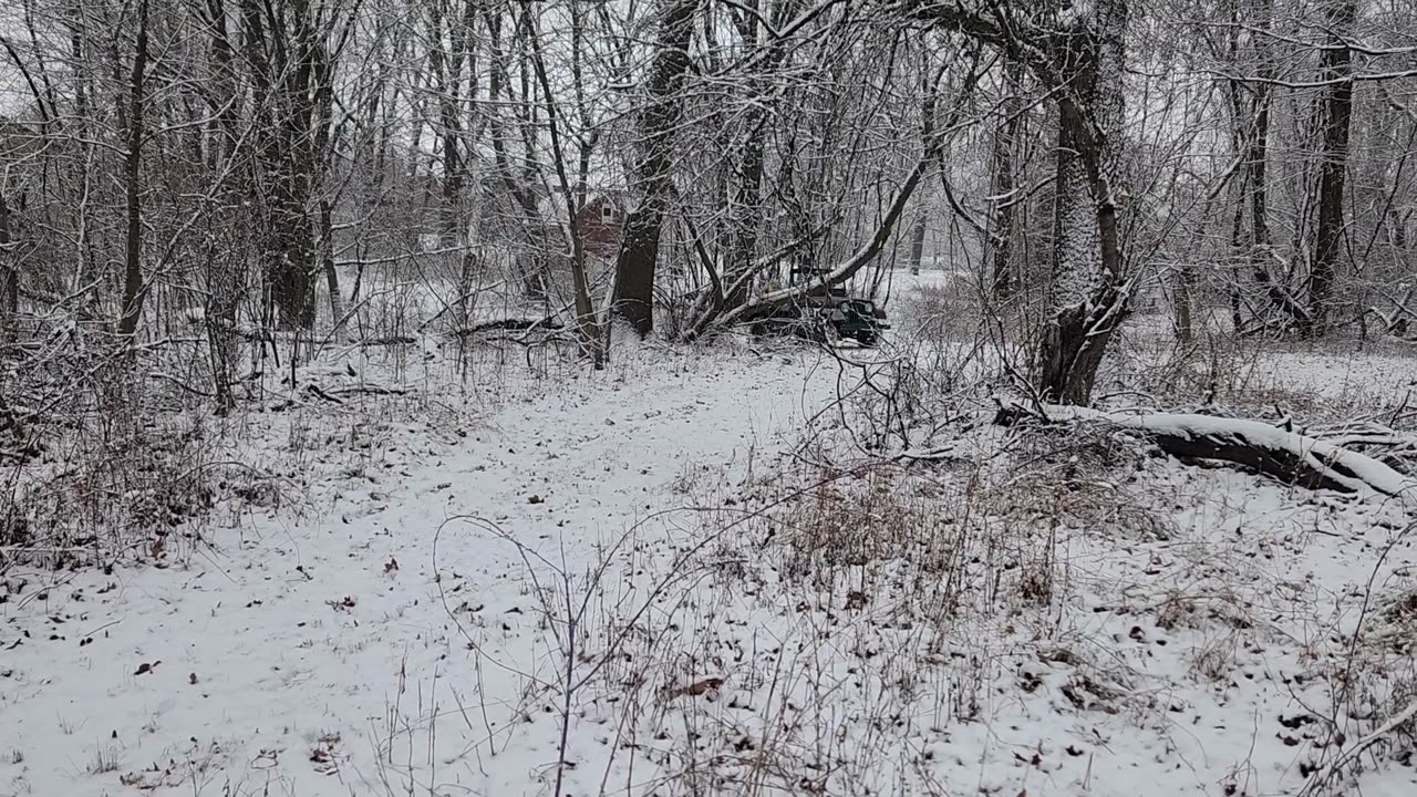 1959 CJ5 first winter ride in Michigan.