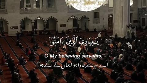 Heart Touching Quran Recitation