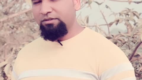 Log gire hue