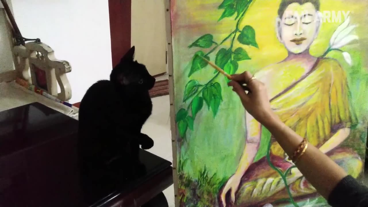 Funny Cat Fails | Funny Cat Compilation - FailArmy