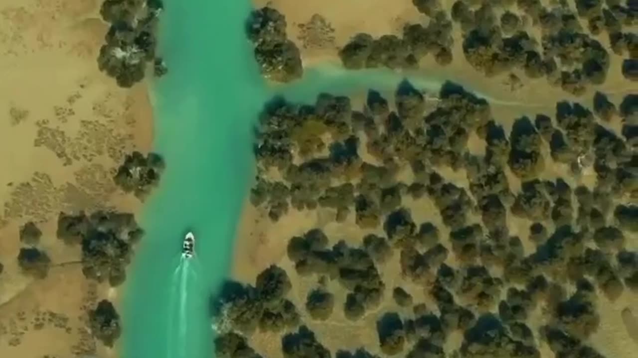 Forbidden country