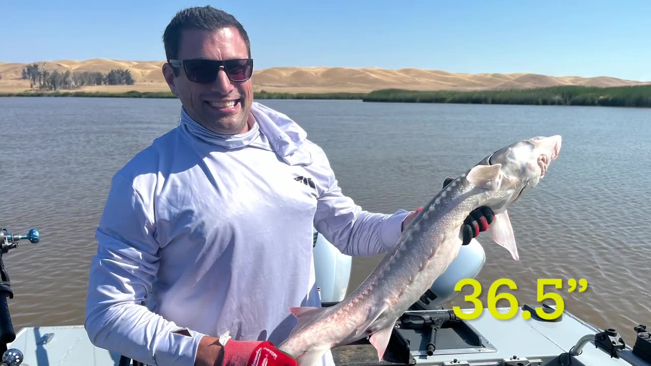 08-05-23 Suisun City, CA - 36.5” Sturgeon C/R