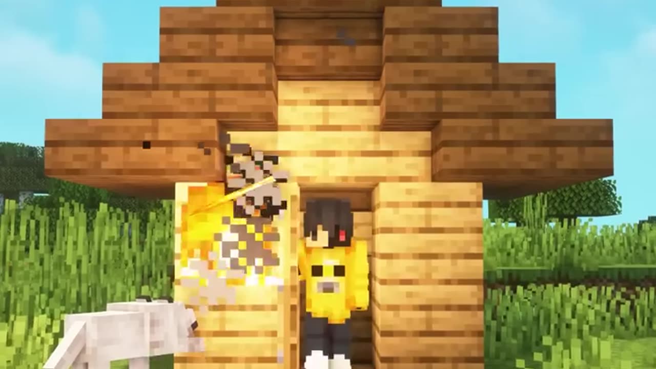 Minecraft play with dog