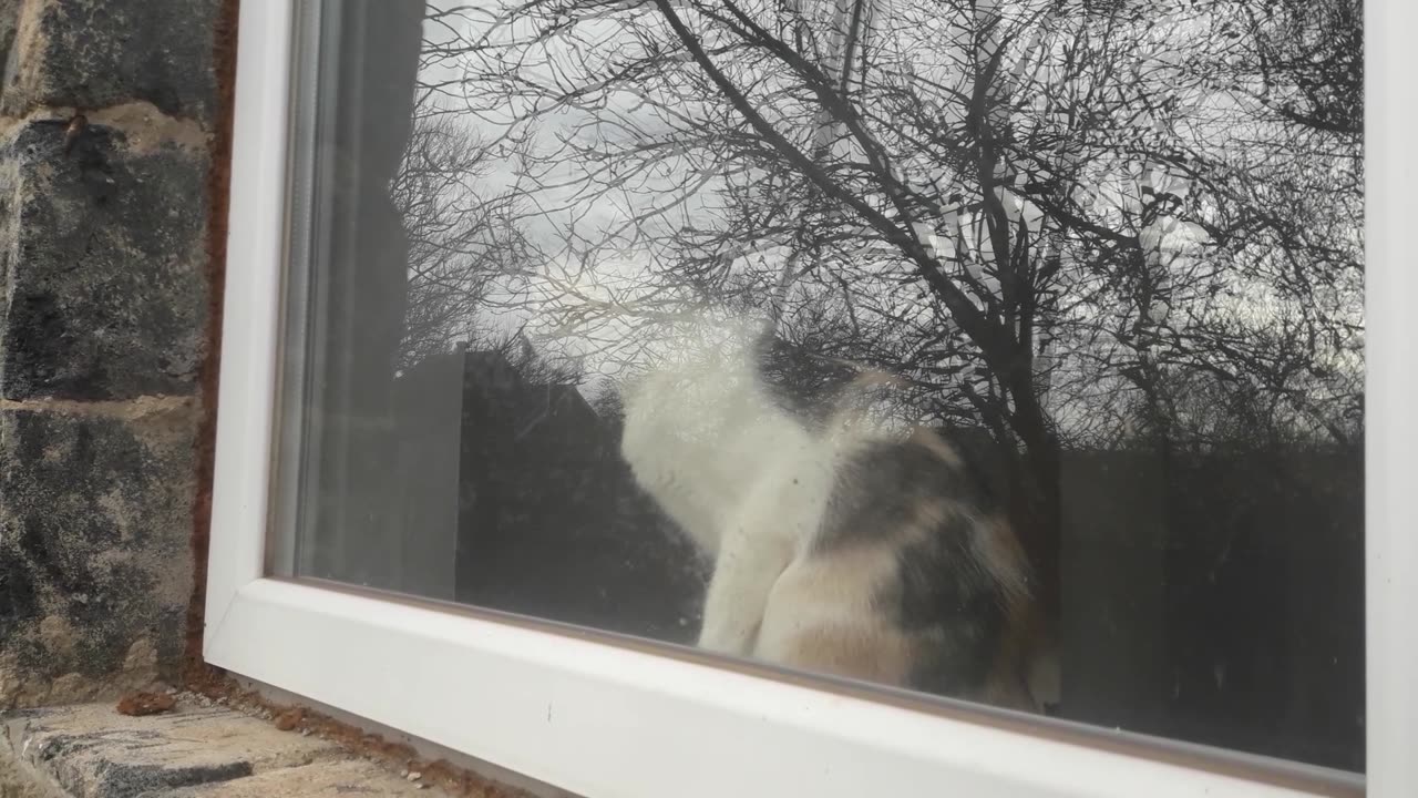 Dora and special effects